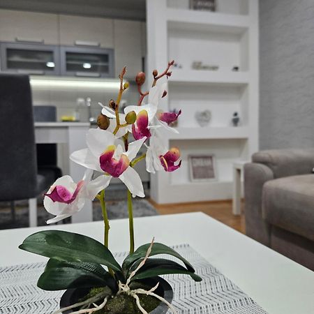 Apartman Vukota Pirot Kültér fotó