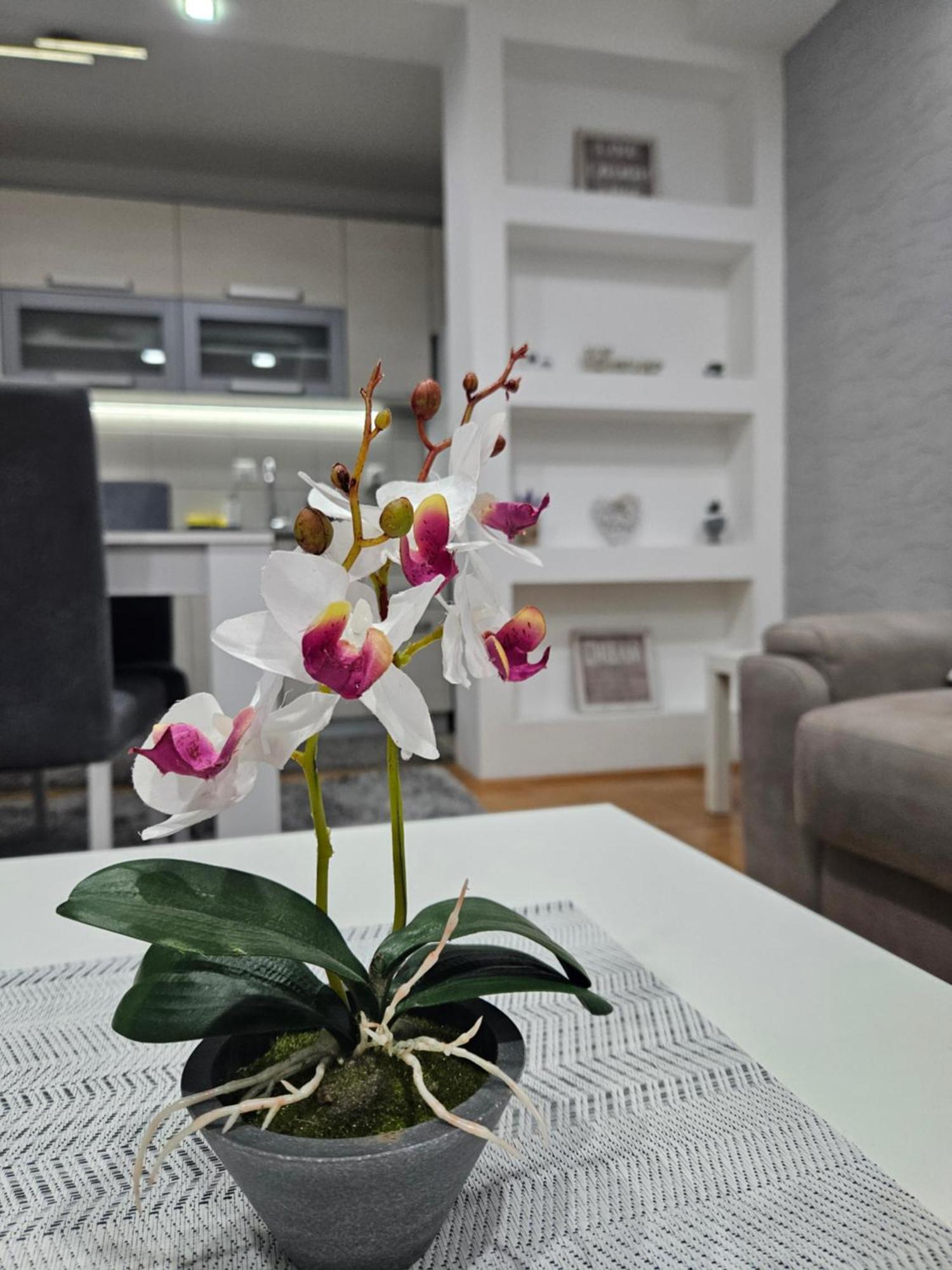Apartman Vukota Pirot Kültér fotó